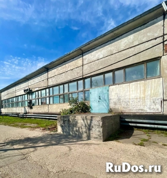 Сдам коммерческую недвижимость 182 м2 изображение 5