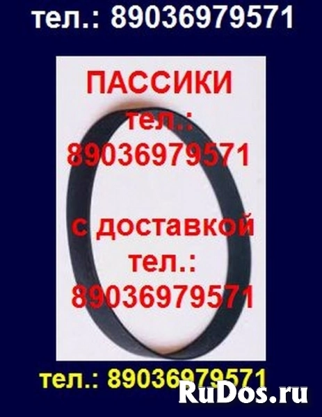 пассики Орфей фото