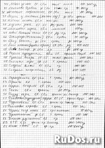 Рассада Гномы Дварф изображение 6