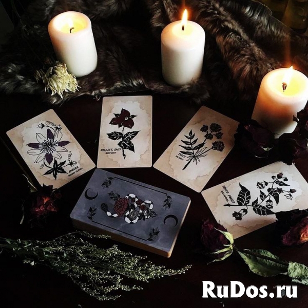 ЭЛИСТА ВЕРНУТЬ ЛЮБИМОГО ПРИВОРОТОМ ЧЁРНОЕ ВЕНЧАНИЕ ГАДАНИЕ фото