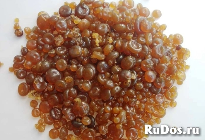 Натуральный столярный клей для дерева фото