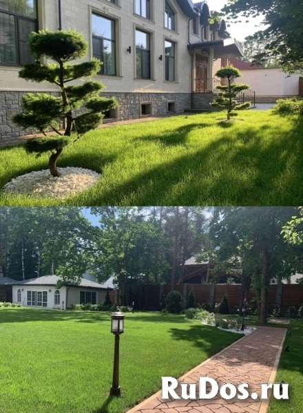 Укладка рулонного газона в Москве и области, цена под ключ за м2 изображение 6