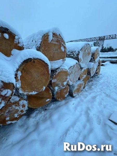 Кедр, лиственница кругляк, брус, лафет, доска. фотка