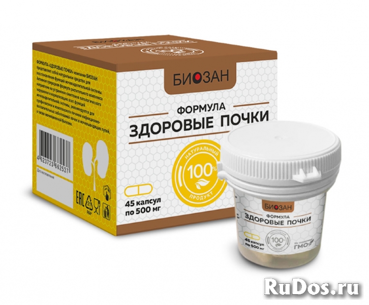 Здоровые почки, мочеполовая, почечные колики фото