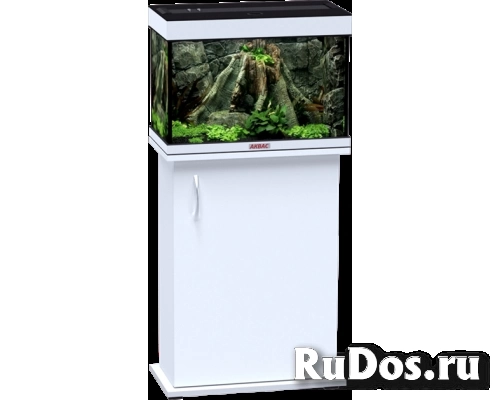 Аквариумы и оборудование в магазине Аквас изображение 7
