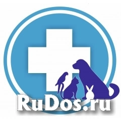 Ветеринарный врач фото