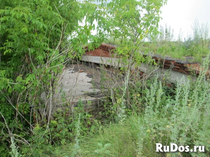 Продам коммерческую недвижимость 3066.4 м2 изображение 10