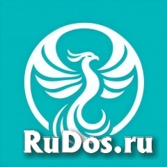 Бармен фото