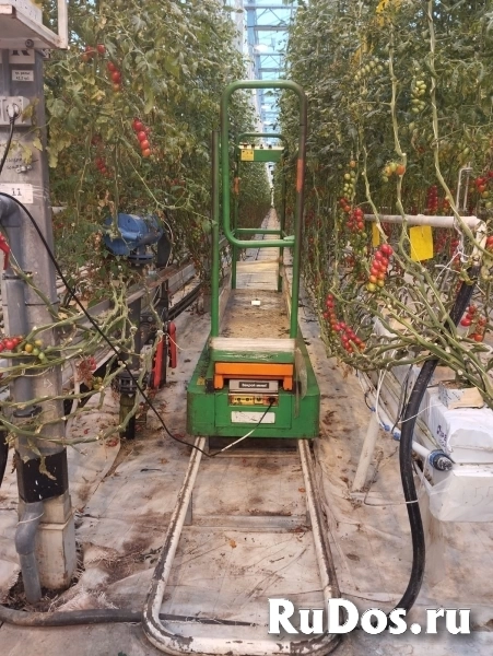 Требуются овощеводы в тепличный комплекс фотка