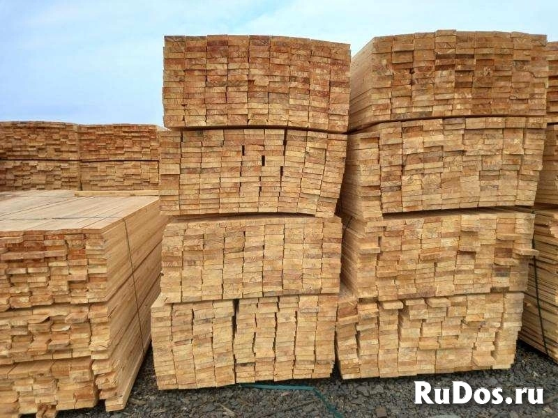 Лиственница, кедр, сосна, береза пиломатериалы оптом. изображение 5