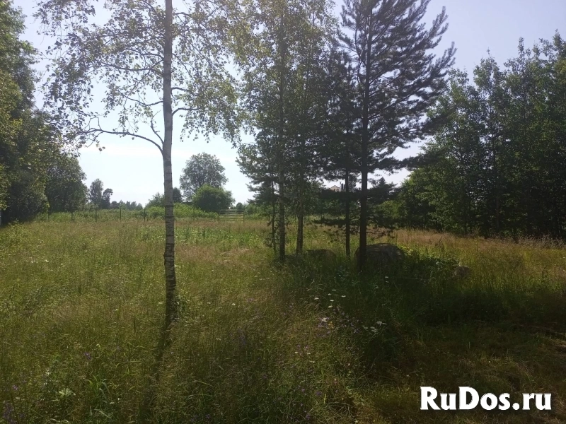 Продам участок 23 сот. изображение 9