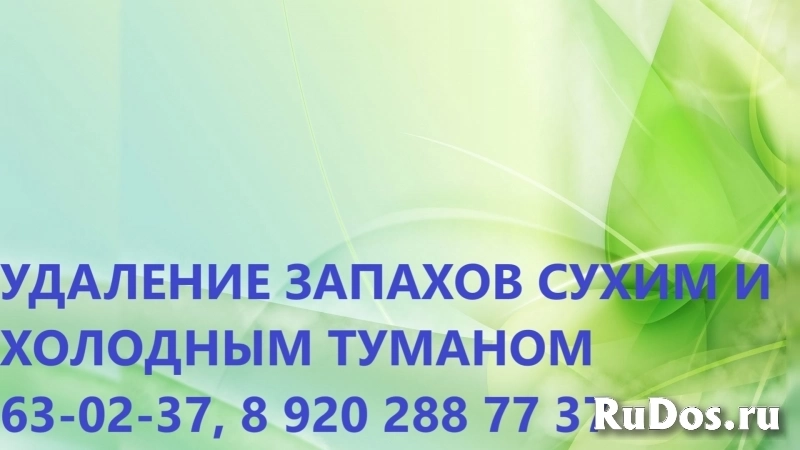 Удаление неприятного запаха после смерти человека изображение 5