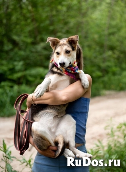 Ума — девочка, которая ждёт именно своего человека изображение 4