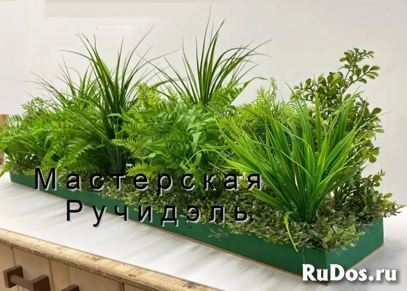 Искусственные растения для офиса, фито-композиции на заказ изображение 6