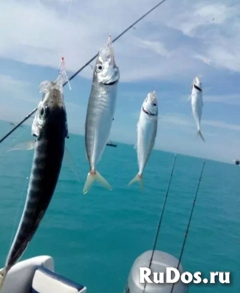 Морские прогулки, рыбалка фото