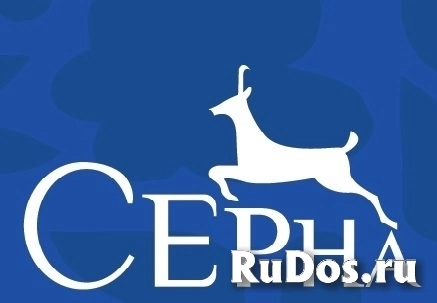 Повар горячего цеха фото