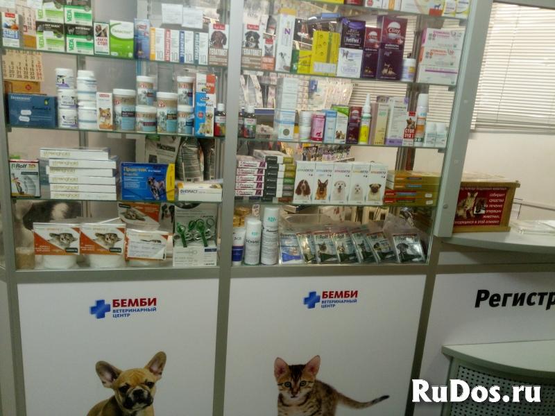 Ветеринарная аптека на Цюрупы фото