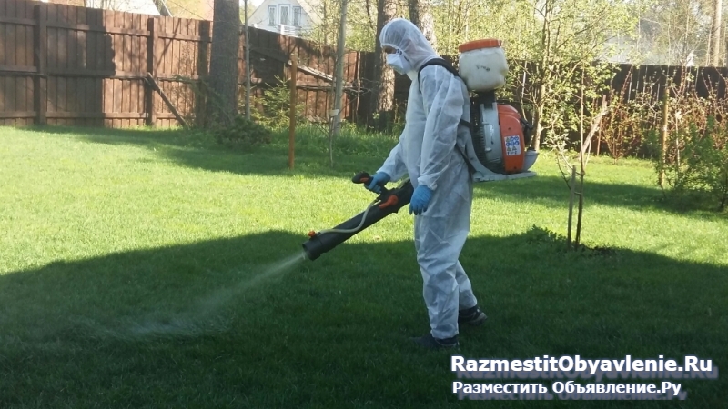 Уничтожение клещей и комаров на даче Дмитров фотка