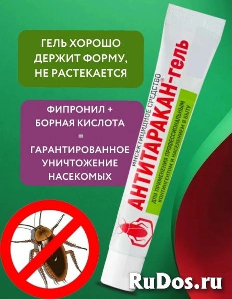 Средство от тараканов Антитаракан гель профессиональный 35 гр изображение 7