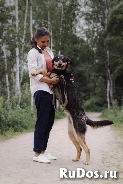 Прекрасная Люси в самые добрые руки! изображение 3