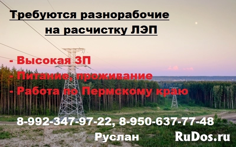 Требуются разнорабочие на расчистку ЛЭП фото