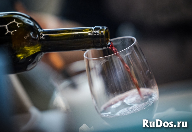 Арт Дегустация фотка