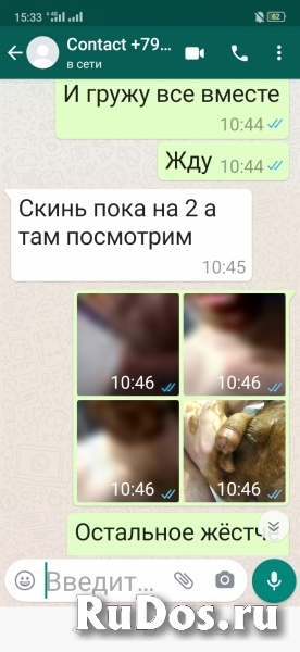 АВТОРСКОЕ ЭКСКЛЮЗИВНОЕ ВИДЕО БДСМ ватсап+7918-455-78-58 изображение 12