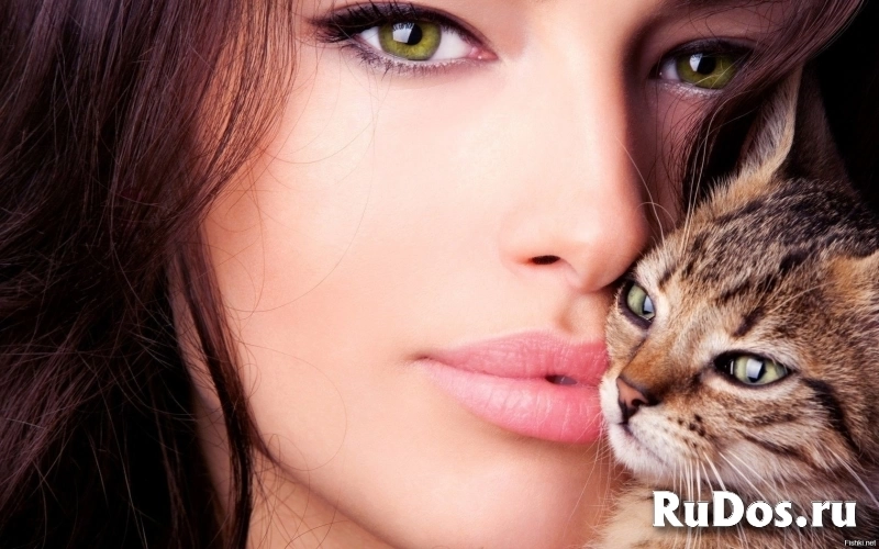 Фасовщики корма для кошек / Работа с проживанием фото