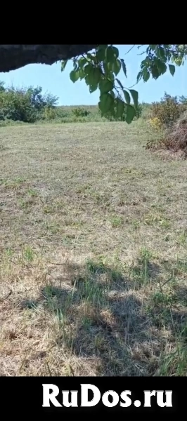 Дачный участок СНТ Надежда фото