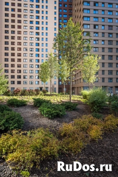 Продам коммерческую недвижимость 3.9 м2 изображение 6