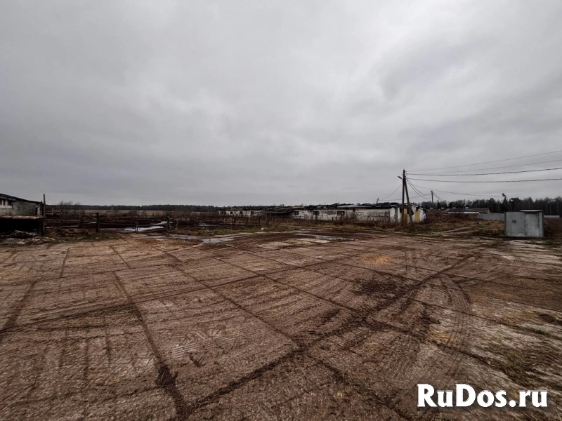 Сдам коммерческую недвижимость 1050 м2 изображение 10