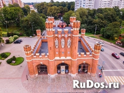 Индивидуальные экскурсии по Калининградской области изображение 3