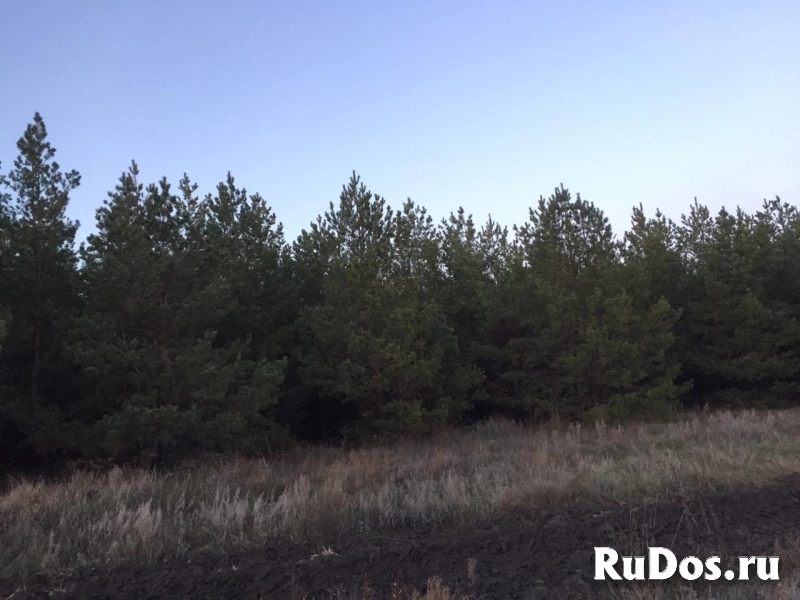 Продам землю изображение 6