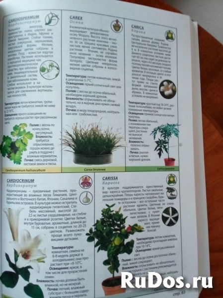 Энциклопедия комнатных растений новая иллюстрированная изображение 3