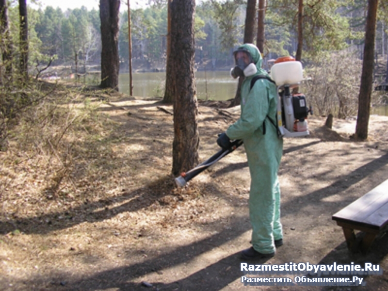 Дезинфекция тараканов клопов СЭС Вязники фотка