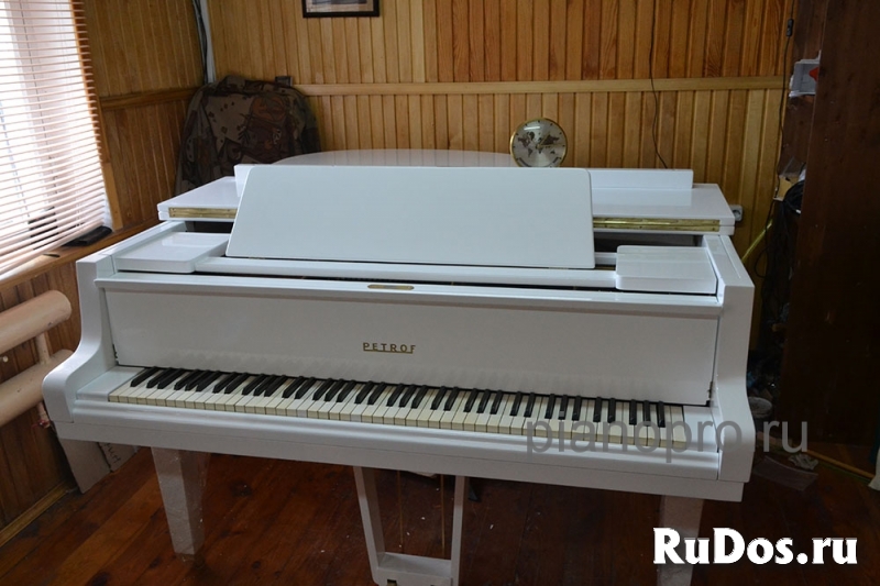 Выкуп импортных пианино и роялей изображение 5