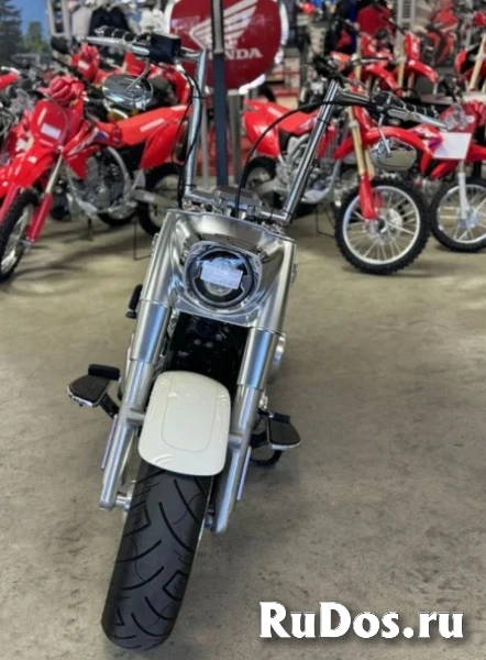 2018 Harley-Davidson Softail Fat Boy 114 фотка