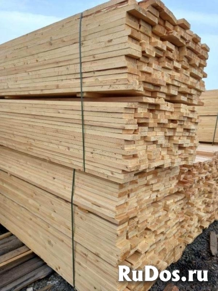 Лиственница, кедр, сосна, береза пиломатериалы оптом. изображение 6