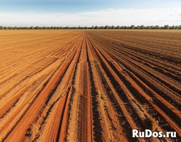 Сельскохозяйственный земельный участок фото