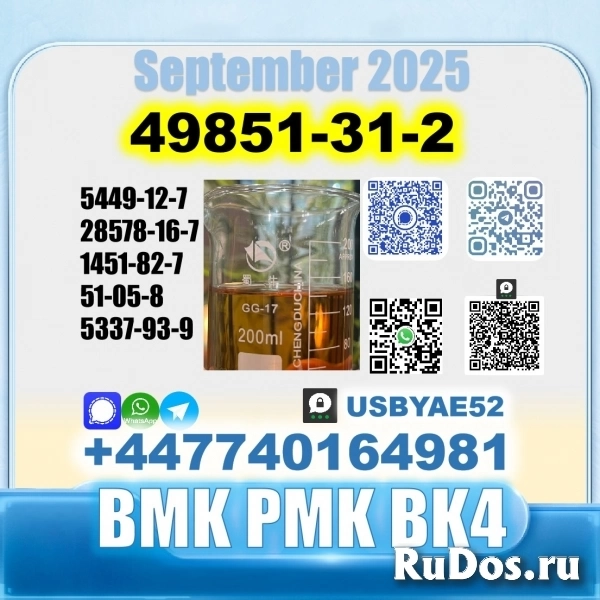 49851-31-2 BVF 2-Bromovalerophenone BK4 factory stale supply изображение 5