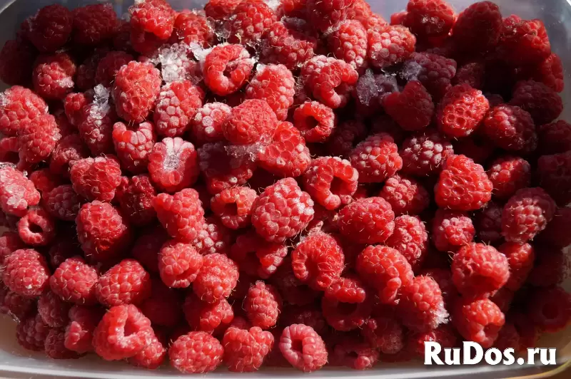 Продам участок изображение 4
