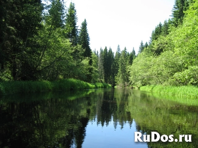 Бартер на участок ИЖС 1га., граничит с рекой Малая Коша. изображение 8