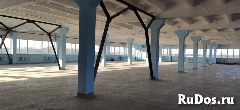 Сдам коммерческую недвижимость 1649.2 м2 изображение 7