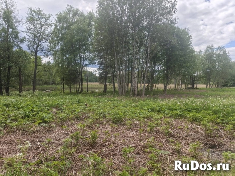 Продам участок 15 сот. изображение 5
