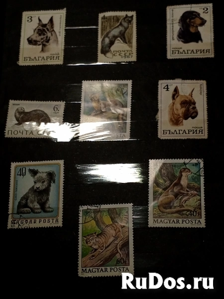 Продам альбом с марками СССР по договорной цене изображение 3