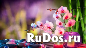 Приглашаю на СПА – программу милых ЖЕНЩИН фото