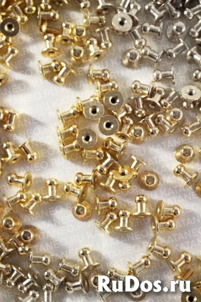 Кобурный винт. Винты для ремней. Болты для каталогов и рекламных буклетов. изображение 10