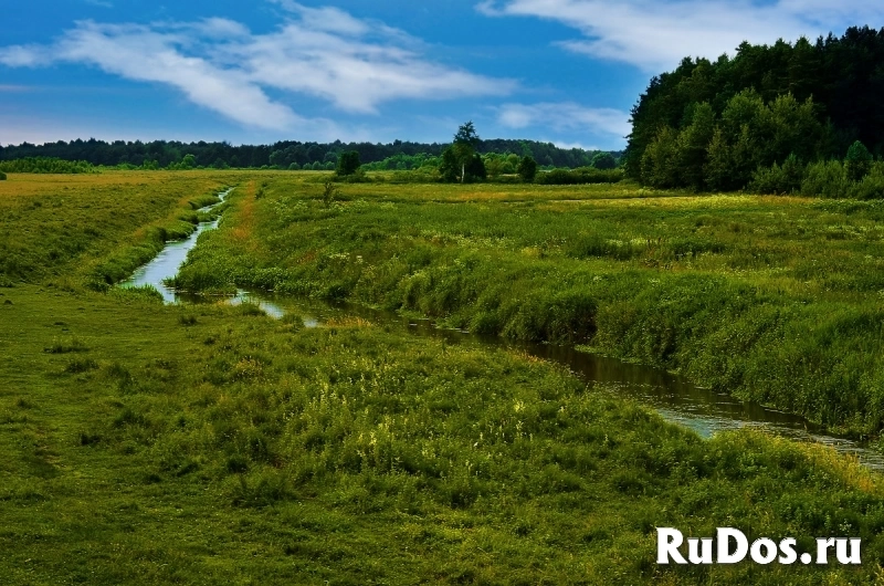 Продаются земельные участки под прудовое хозяйство фотка