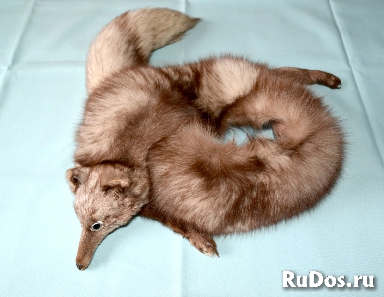 Горжетка меховая песцовая напрокат изображение 3