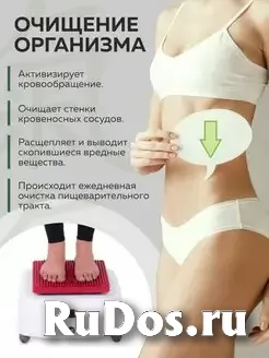 Продам эффективный массажёр для всего тела Кандадзя изображение 4